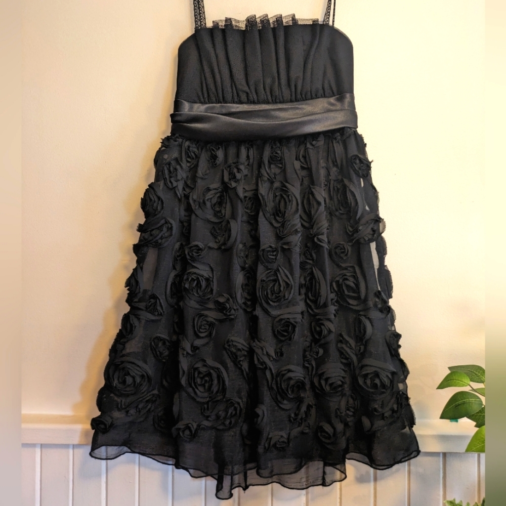 Unique rosette mesh dress.  Sz 10